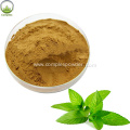 Natural Peppermint Leaf Extract Bulk Powder